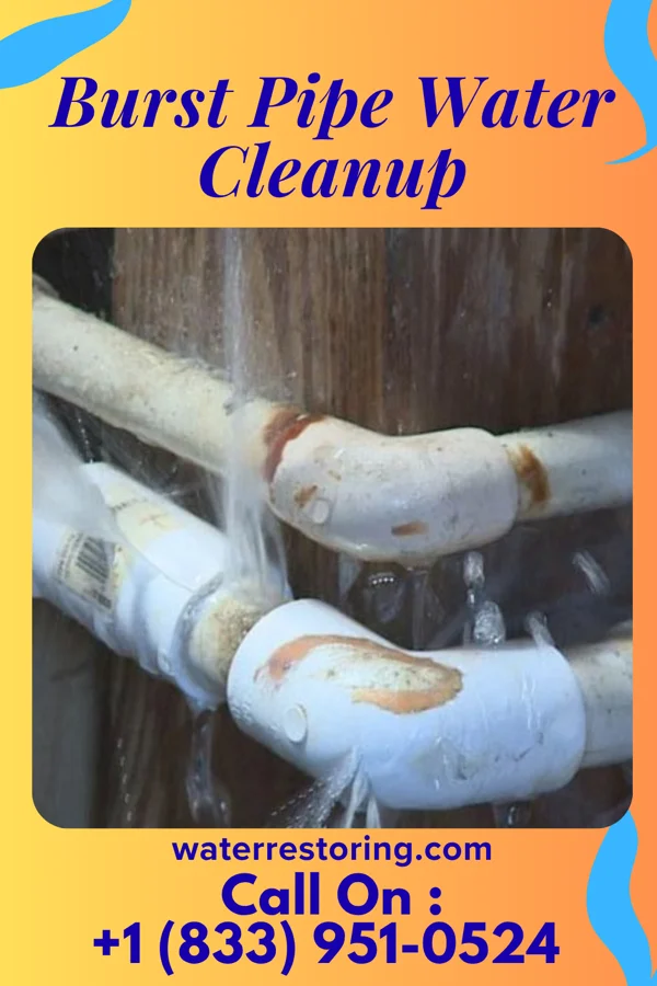 Burst Pipe Water Cleanup in Chula, MO