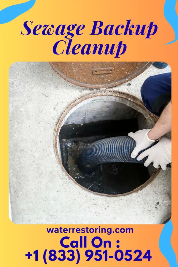 Sewage Backup Cleanup in Chula, MO